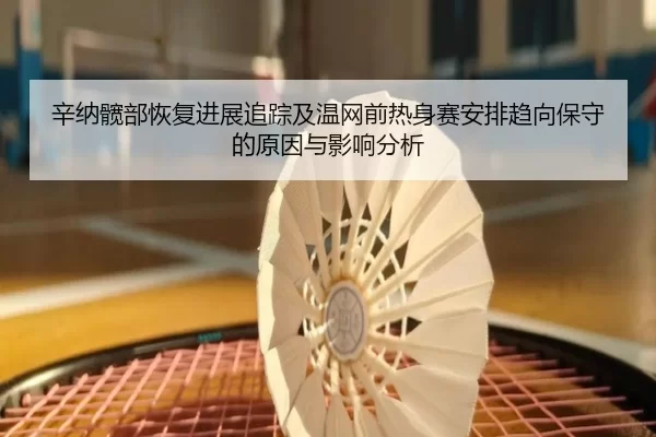 辛纳髋部恢复进展追踪及温网前热身赛安排趋向保守的原因与影响分析